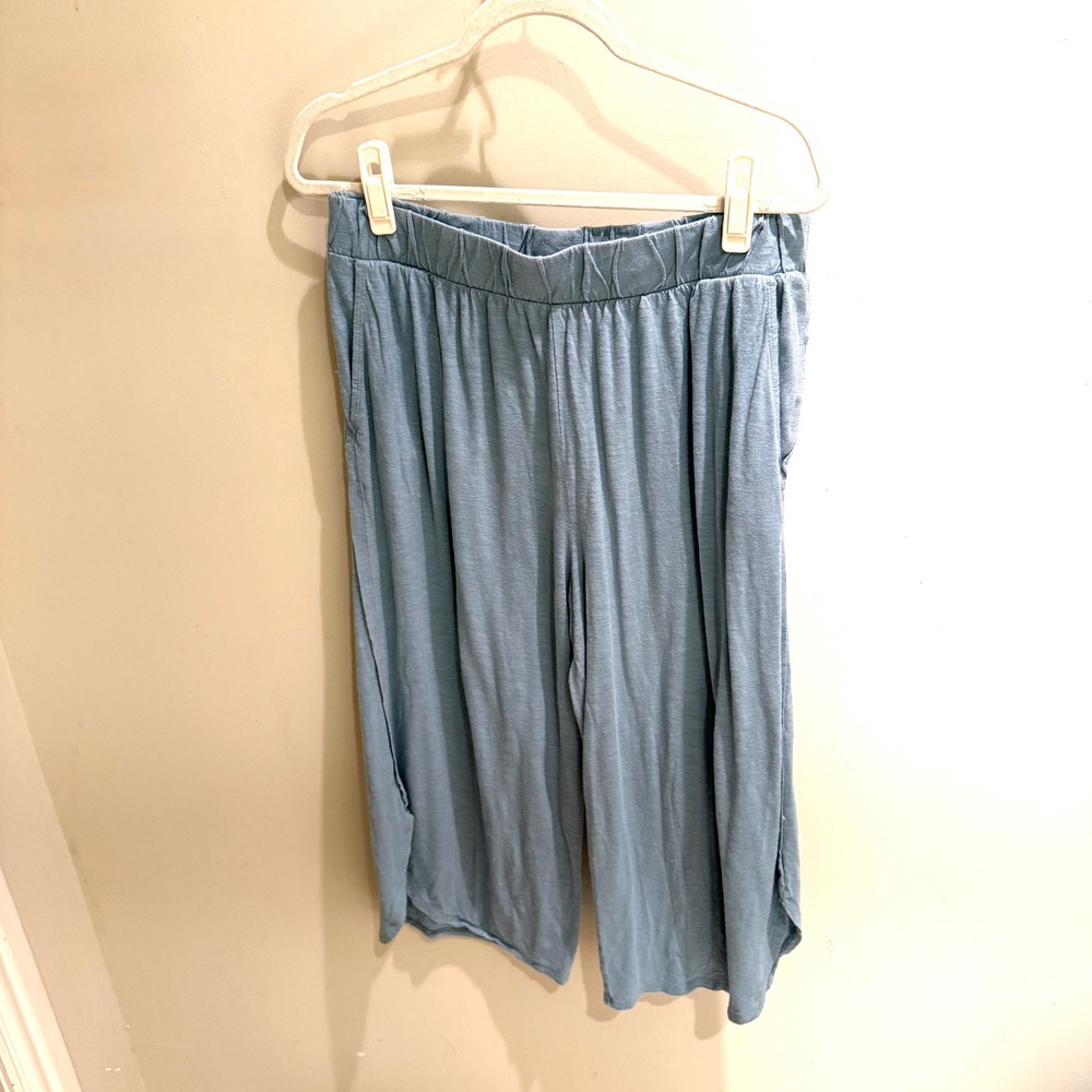 Garnet Hill Womens Blue Cotton Tencel Lyocell Pajama Set Short Sleeve Pants L - Picture 4 of 6